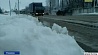 Снегом засыпало центр и север Украины