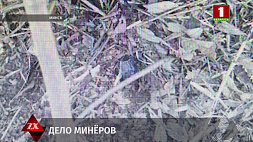 В Минске расследуется дело о незаконном обороте запрещенных веществ