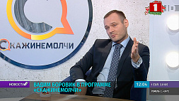 В. Боровик: За призыв к санкциям необходимо ввести ответственность 