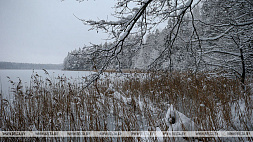 Рыбак утонул в озере в Кировском районе