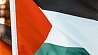Ирландия, Норвегия, Испания официально признали независимость Палестины