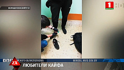 В Молодечненском районе задержаны трое парней за незаконный оборот наркотиков