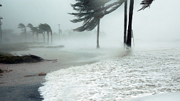 Самый разрушительный в истории США ураган и его последствия