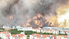 Лесной пожар в Турции вышел из-под контроля - власти готовятся к наихудшему сценарию
