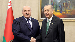 Лукашенко провел встречи с Эрдоганом, Токаевым и Шарифом