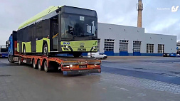 В Риге электробусы, на закупку которых потрачено 19 млн евро, не справляются с морозом
