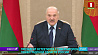 Лукашенко поблагодарил Дрозденко за содействие в передаче земли с захоронений советских воинов, погибших на Невском пятачке