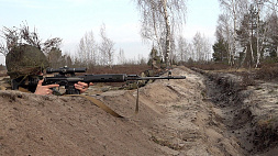 В Беларуси продолжается проверка боеготовности: территориальная оборона будет развернута в двух районах Гомельской области 