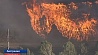 Лесные пожары вторые сутки бушуют в Австралии