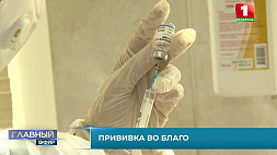Темпы заболеваемости COVID-19 в Беларуси постепенно идут на спад