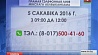 Прямые телефонные линии пройдут в Минском городском и областных исполнительных комитетах