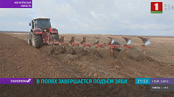 Завершить в кратчайшие сроки полевые работы и начать ремонт техники - задача белорусских аграриев