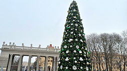 В Минске одна за другой "вырастают" новогодние елки