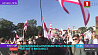 Масштабный антиправительственный митинг проходит в Вильнюсе