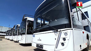 В Тольятти прибыли 19 новых автобусов МАЗ из антисанкционной линейки 