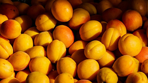 Эксперт назвал 7 способов, как правильно выбрать абрикосы