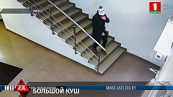 Сыщики Минска задержали туриста, похитившего у минчанина сумку с документами и деньгами 