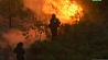 Спасатели Греции  пытаются локализовать  лесной пожар  к северо-востоку от Афин