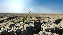 Литовские фермеры столкнулись с засухой