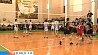 Минский Строитель - в шаге от победы в чемпионате Беларуси по волейболу