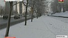 Морозная "Эрика" несет в Беларусь аномальные холода