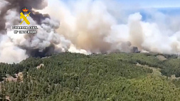 Сильнейшие лесные пожары охватили Канары
