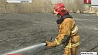 Десятки гектаров земли уничтожены огнем в Гомельской области