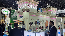 От молочки до хлопьев - белорусские бренды презентовали продукцию на выставке в Дубае Gulfood 2024