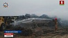 Три тонны соломы уничтожил огонь в Дзержинском районе