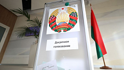 Лукашенко: Никогда мысли не было, чтобы отменять или переносить референдум