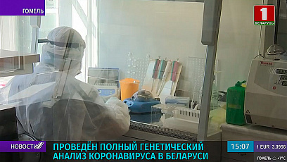 Complete genetic analysis of coronavirus in Belarus performed
