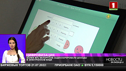 Цифровизация в деле - более 90 % белорусов задекларировали доходы в электронном виде