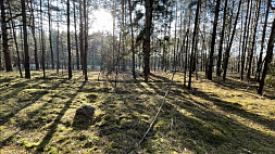 Неучтенное место захоронения жертв войны установили в Ивацевичском районе