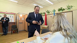 В Беларуси завершился 4-й день досрочного голосования - какую оценку дали наблюдатели 