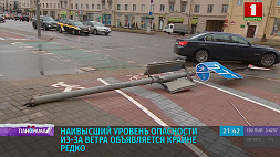 Штормовая пятница: последствия ураганного ветра ликвидируют в Беларуси