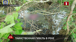 Таинственная гибель - установлена личность мужчины, найденного в реке под Быховом