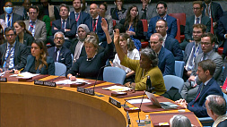 Совбез ООН не принял российскую резолюцию по палестино-израильскому конфликту 