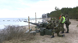 Эстония вооружается - страна намерена приобрести боеприпасы на 500 млн. евро