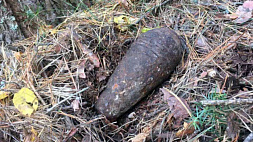 Пинчанин пошел за грибами, а нашел минометную мину времен Великой Отечественной войны