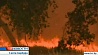 Более тысячи человек эвакуированы из-за лесного пожара в американском штате Калифорния