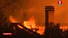 Грецию охватили лесные пожары