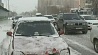 Казахстан накрыло снежным штормом