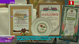 Лучших работников соцзащиты Минской области наградили значительный вклад в развитие сферы
