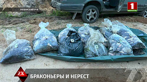 В Любанском районе браконьеры наловили рыбы почти на 90 тыс. рублей
