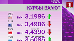 Курсы валют на 8 января: белорусский рубль ослаб к доллару и российскому рублю и укрепился к евро и юаню