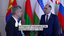 Беларусь будет переходным мостиком от Востока к Западу в ШОС - Вольфович