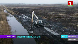 Работу по мелиорации земель активизируют в Беларуси 