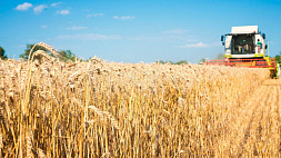 ООН хочет продлить зерновую сделку минимум на два месяца