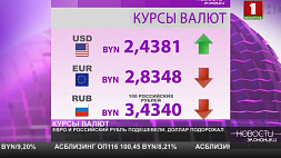 Курсы валют на 21 октября - евро и российский рубль подешевели, доллар подорожал