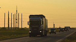 Брестская область сняла ограничения на вывоз продуктов в Польшу до конца года 